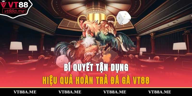 Bí quyết tận dụng hiệu quả hoàn trả đá gà VT88