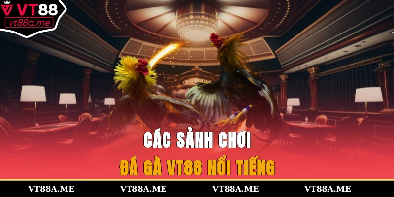 Các sảnh chơi đá gà VT88 nổi tiếng