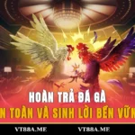 hoàn trả đá gà