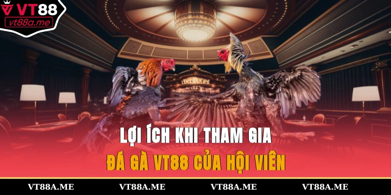 Lợi ích khi tham gia đá gà VT88 của hội viên