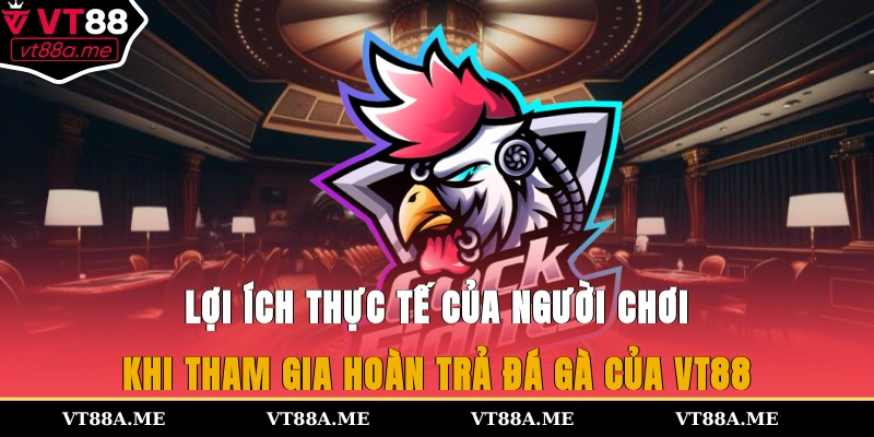 Lợi ích thực tế của người chơi khi tham gia hoàn trả đá gà của VT88
