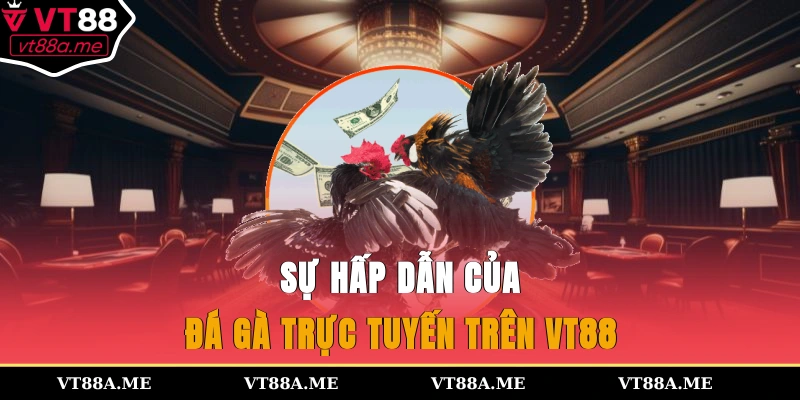 Sự hấp dẫn của đá gà trực tuyến trên VT88